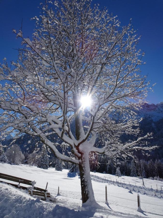 Hotel Gruener Hut - Dein 3*